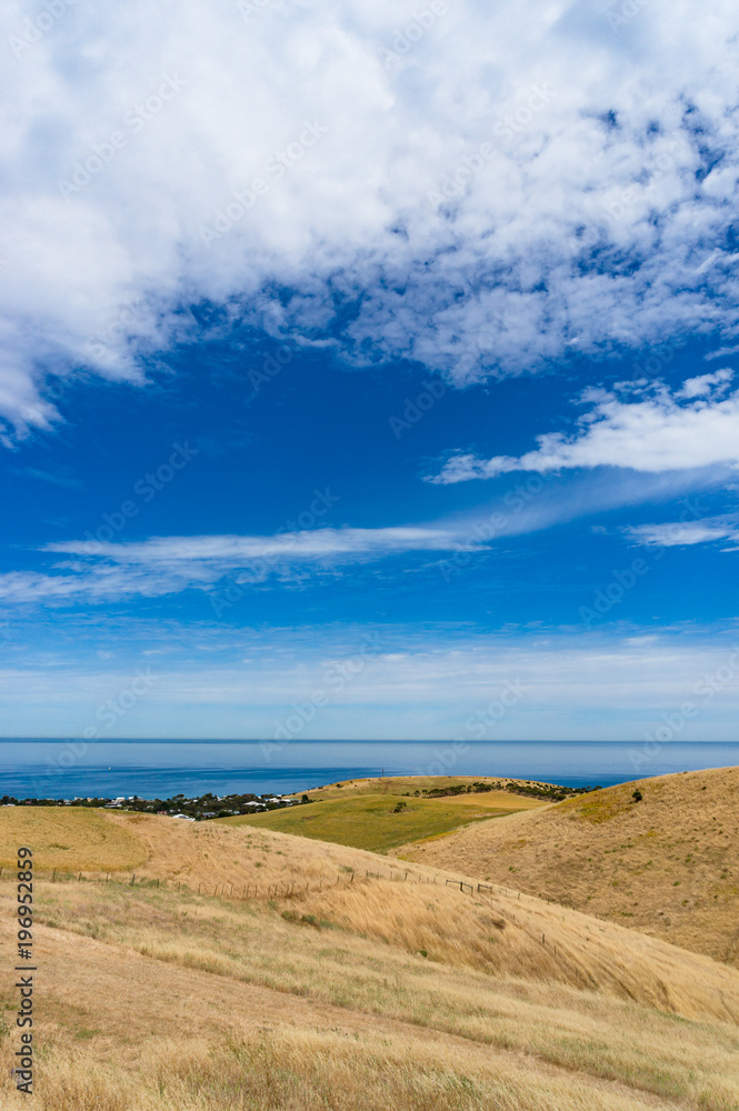 Yellow grass hills with blue ocean on the background