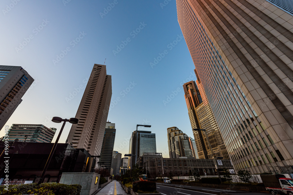 Fototapeta premium 夜明け直後の新宿のビル群 It's getting light in Shinjyuku, Tokyo