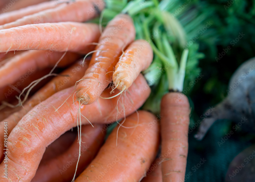 Carrots in the market closeup background copy space Carrots in the market closeup background copy space
