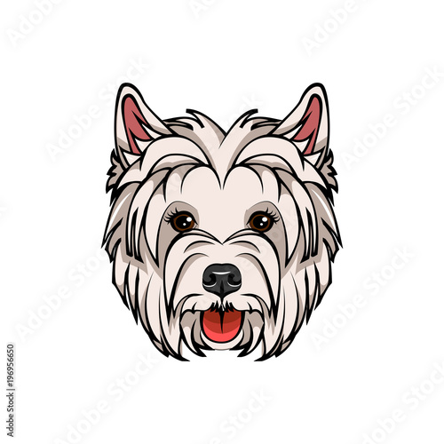West Highland White Terrier portrait. Dog Breed. Vector Illustration.