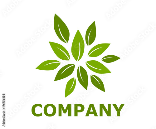 leaf logo design 1