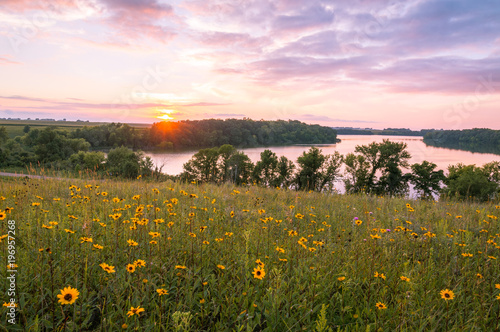 Minnesota Wild Flowers and Lake photo