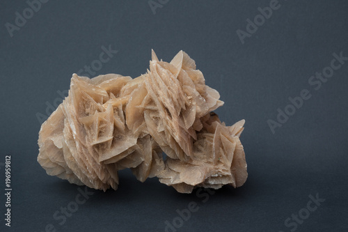 Fotografia Desert rose, a flowerlike aggregate of crystals of a mineral occurring in arid a