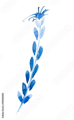 Blue flower on white, watercolor illustrator