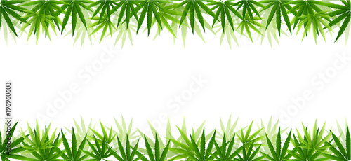 Frame formed with hemp (marijuana) leaves isolated on white.