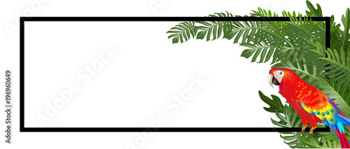 Bright natuer background with jungle plants. tropical leaves.