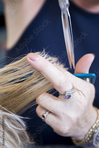 Female hairdresser hold in hand lock of blonde hair