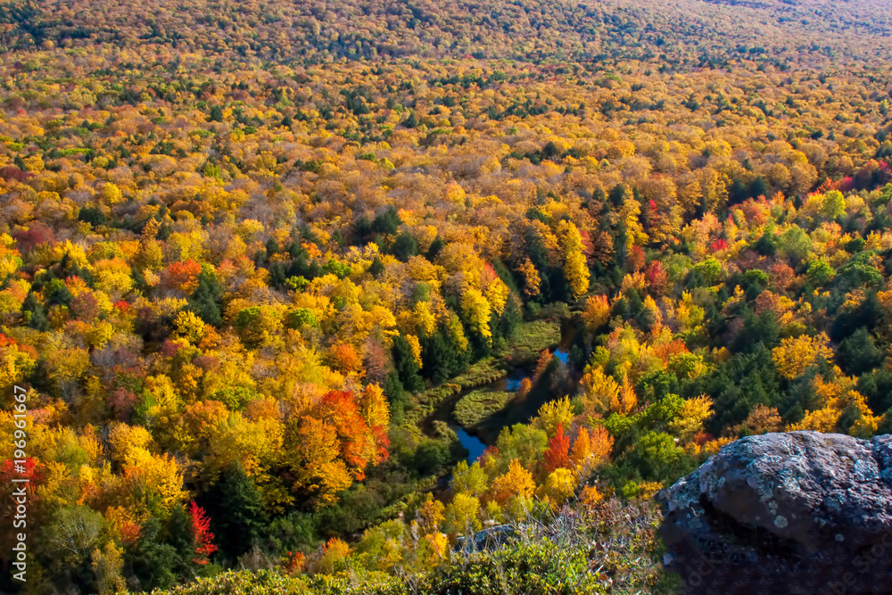 Distant view of the trees below an overlook at the Porcupine Mountains in the Upper Peninsula of Michigan