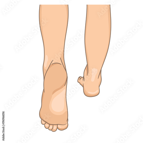 Female legs barefoot, back view, walking. Vector illustration, hand drawn cartoon style isolated on white.