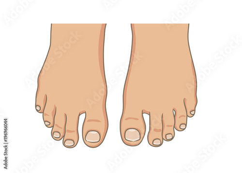 Female or male foot sole, barefoot, top view. Toenails with pedicure.Vector illustration, hand drawn cartoon style isolated on white.