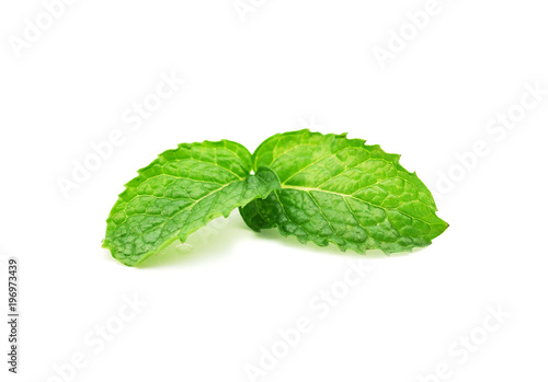 mint leaf isolated on a white background.