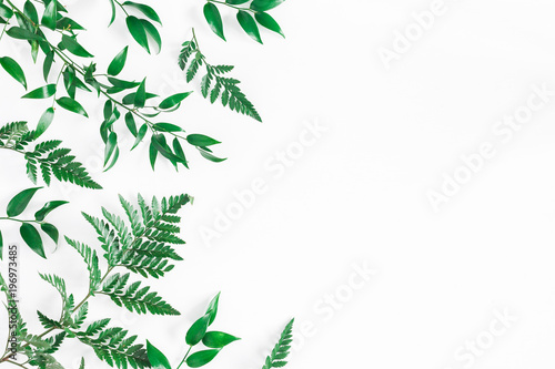 Leaf pattern. Green tropical leaves on white background. Flat lay  top view  copy space