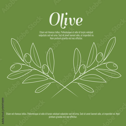 Olive branch with trendy line art style. Contour line drawing vector. © zeynurbabayev