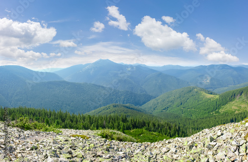 Fototapeta Naklejka Na Ścianę i Meble -  Mountain ranges covered with spruce forests in Carpathian Mountains