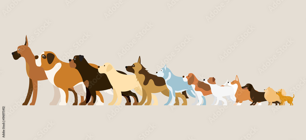 Group of Dog Breeds Illustration, Side View Arranged in Height Order Group of Dog Breeds Illustration, Side View Arranged in Height Order