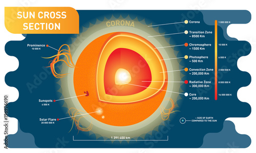 Sun cross section scientific vector illustration diagram with sun inner layers, sunspots, solar flare and prominence. 