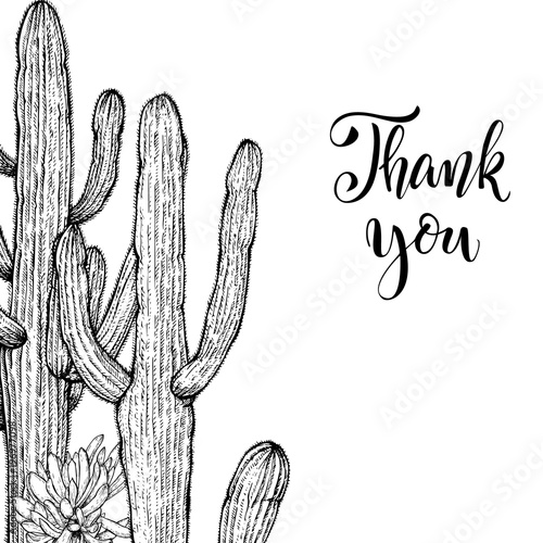 Sketch linear cactus ans succulents
