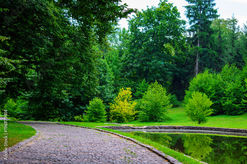Photo of stone road near the lake in green park at summer
