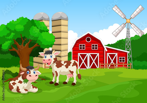 Funny caws with farm background