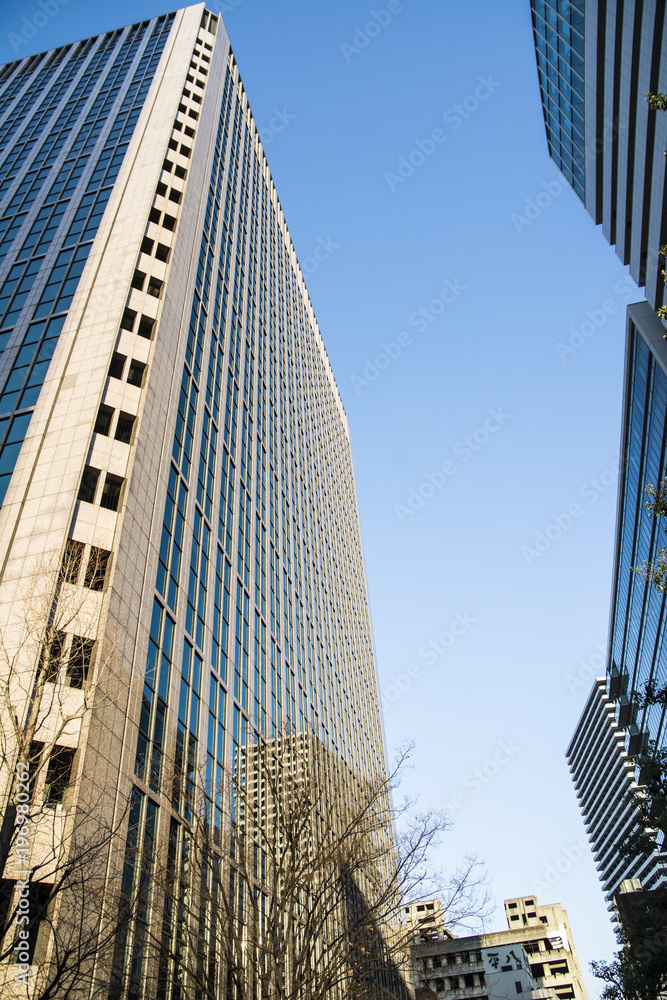 Obraz premium そびえ立つビル