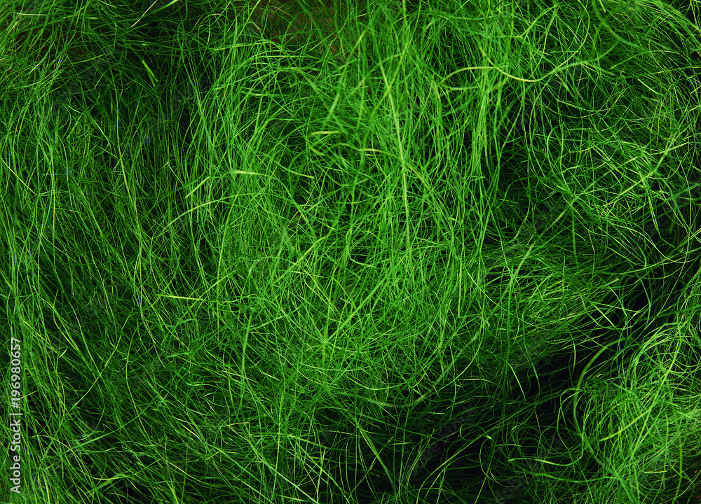 Texture made of fine green threads Texture made of fine green threads