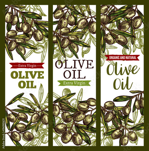 Vector olive oil extra vrigin sketch banners