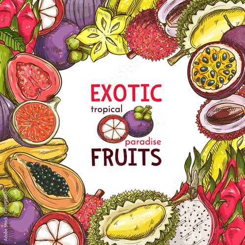 Vector sketch poster of fruit shop exotic fruits