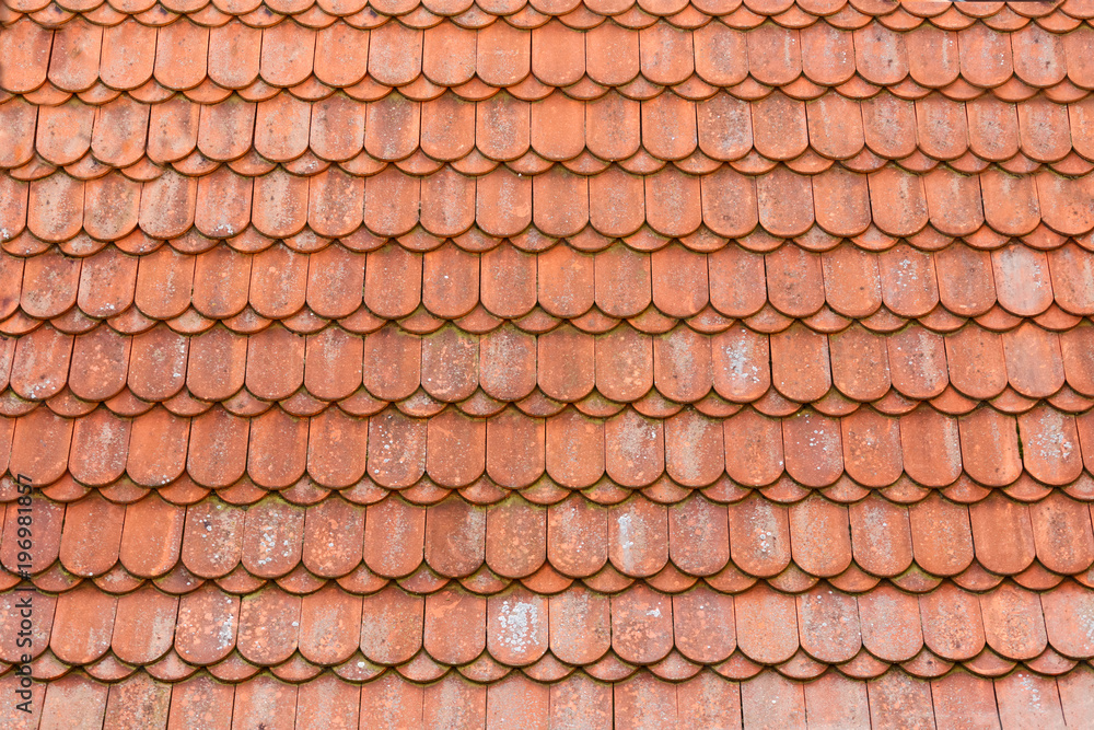 Texture shingles on the roof