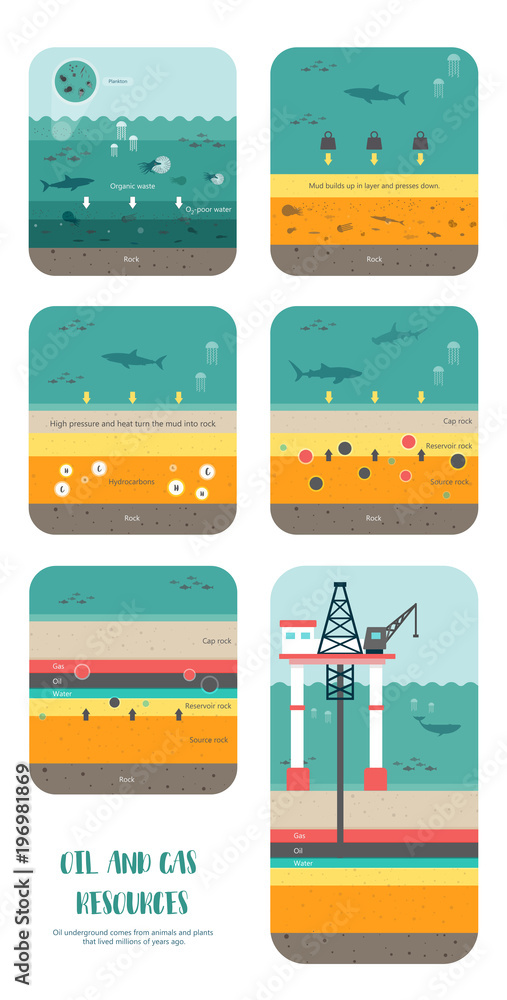 how to petroleum fossil fuel was form
