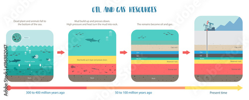 how to petroleum fossil fuel was form