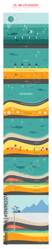 how to petroleum fossil fuel was form