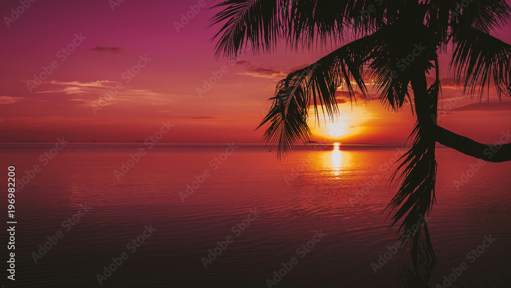 Sunset background on the ocean. Silhouette of a palm tree. Panorama