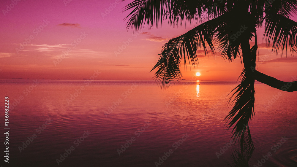 Sunset background on the ocean. Silhouette of a palm tree. Panorama