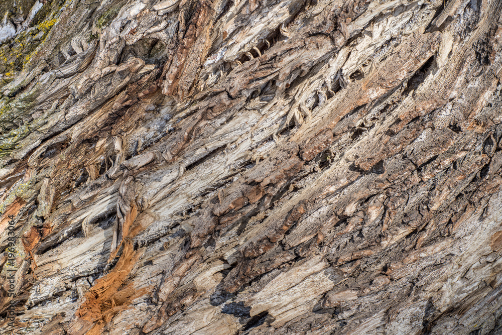 Abstract rugged wooden background Abstract rugged wooden background