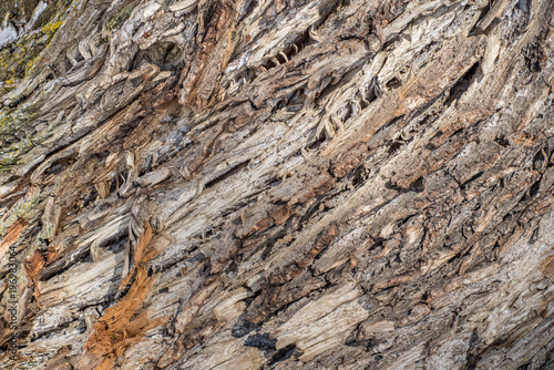 Abstract rugged wooden background