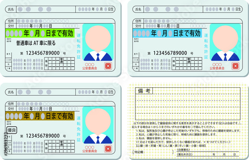 Japanese Driver's License Set