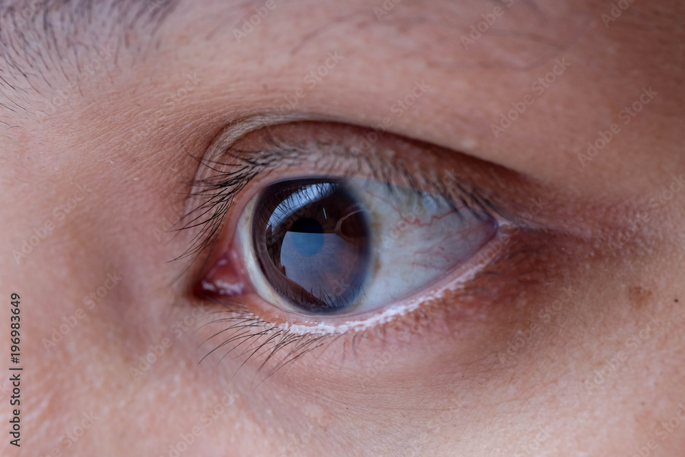 asia woman eye macro, the vision of the future and healthy life concept. view precise and straight to the target concept asia woman eye macro, the vision of the future and healthy life concept. view precise and straight to the target concept