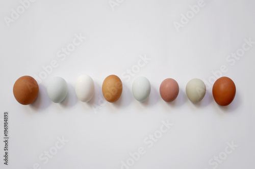 Row of natural variety of eggs