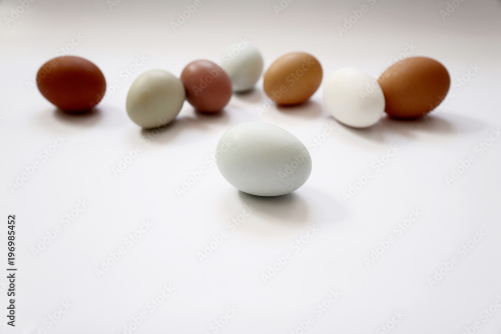 Isolated blue egg with colourful group of eggs Isolated blue egg with colourful group of eggs