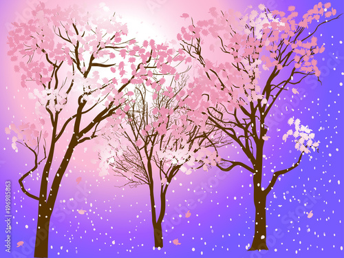 pink trees blossom on light background © Alexander Potapov