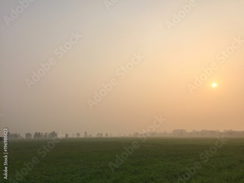 View landscape countryside rice field on nature.