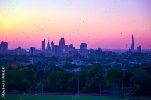 Sticker View towards London city skyline with bird flocking at sunrise from parliament h