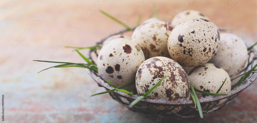 eggs quail in a metal basket with grass eggs quail in a metal basket with grass