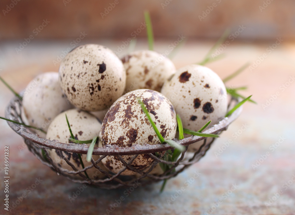 eggs quail in a metal basket with grass