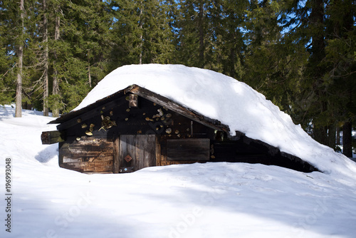 Hütte am Großen Arber, alte Berghütte aus Holz neben Skiloipe im Winter