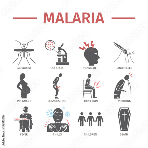 Malaria flat icon Infographics. Symptoms, Vector signs for web graphics.