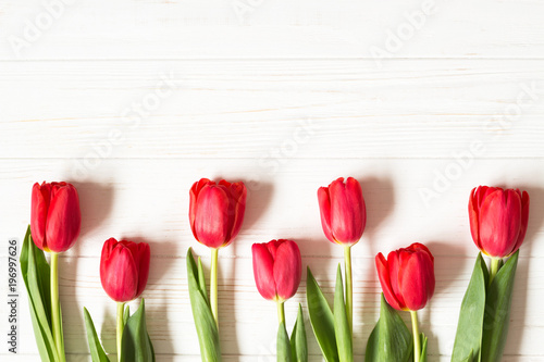 Red tulips on white old vintage wooden background. Flat lay. Copy space. Simple pattern