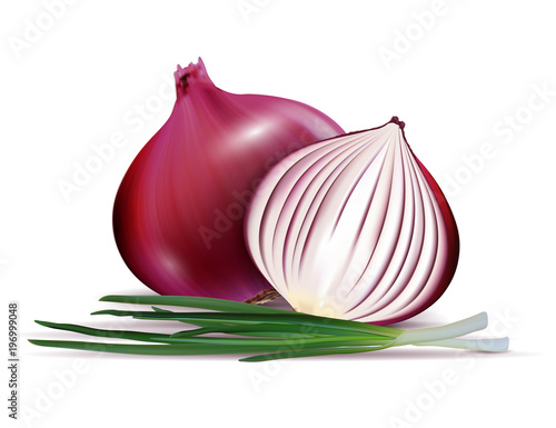 Vector fresh whole and sliced red onion bulbs with green onions close up isolated on white background
