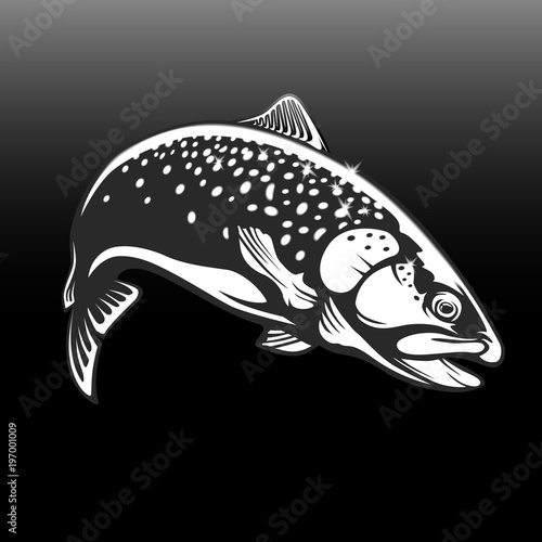 Realistic drawing of the rainbow trout jumping out water.Sketch isolated on white background. Concept art for horoscope, tattoo or colouring book.