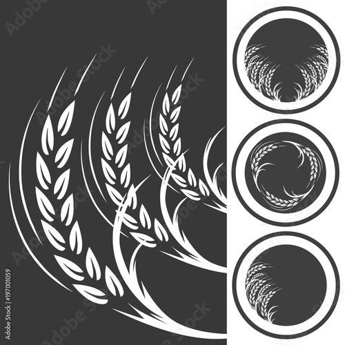 Wheat Ears Icons and Logo Set. For Identity Style of Natural Product Company and Farm Company. Organic wheat, bread agriculture and natural eat. Contour lines. Flat design.